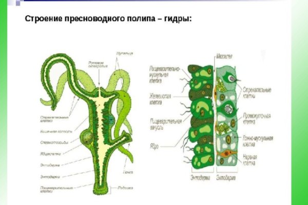 Kraken рабочий