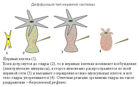 Как пополнить кошелек на кракене